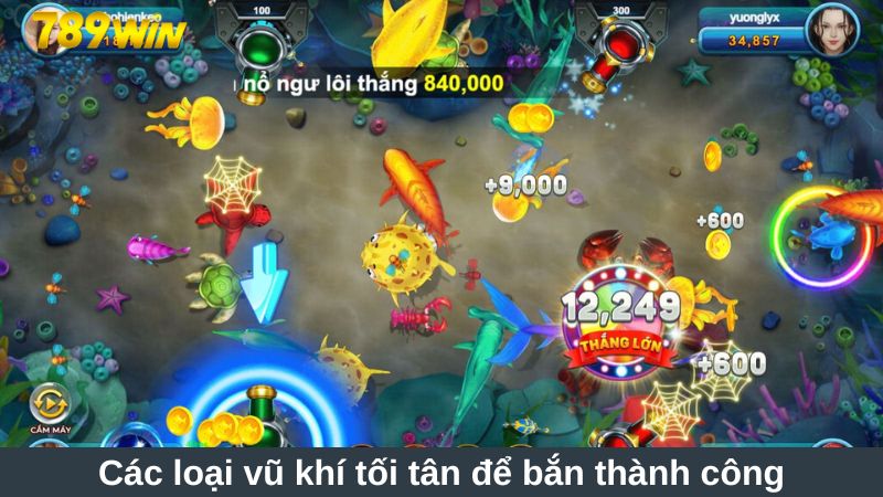 Các loại vũ khí tối tân để bắn thành công