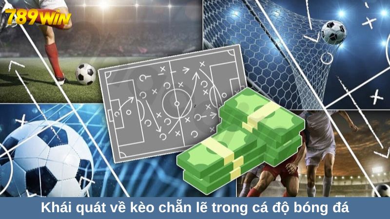 Khái quát về kèo chẵn lẽ trong cá độ bóng đá trực tuyến